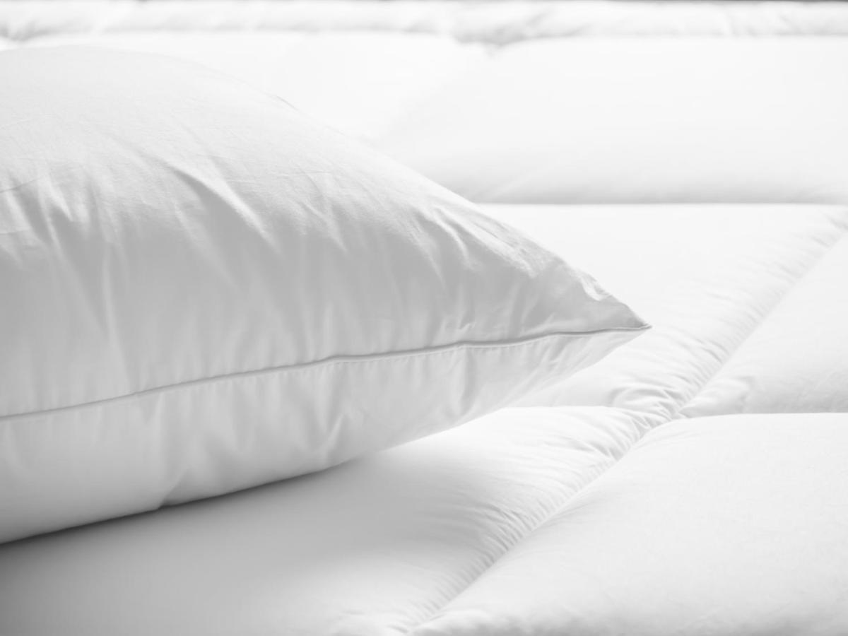 Holiday Inn Cincinnati-Riverfront By Ihg Covington Eksteriør billede